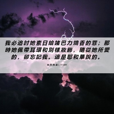 Picture 06 - 何 西 阿 書 2:13 CUVT - 我 必 追 討 她 素 日 給 諸 巴 力 燒 - Bible Verse Picture