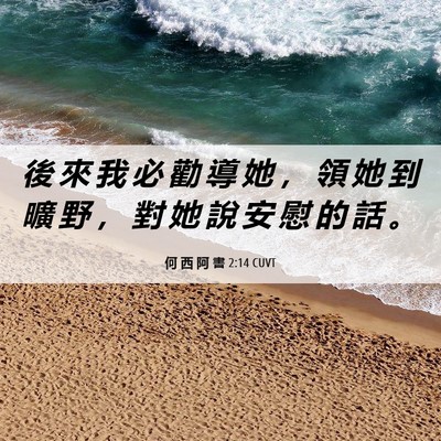 Picture 06 - 何 西 阿 書 2:14 CUVT - 後 來 我 必 勸 導 她 ， 領 她 到 曠 - Bible Verse Picture