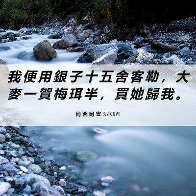 Picture 06 - 何 西 阿 書 3:2 CUVT - 我 便 用 銀 子 十 五 舍 客 勒 ， 大 - Bible Verse Picture