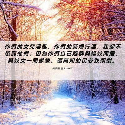 Picture 06 - 何 西 阿 書 4:14 CUVT - 你 們 的 女 兒 淫 亂 ， 你 們 的 新 - Bible Verse Picture