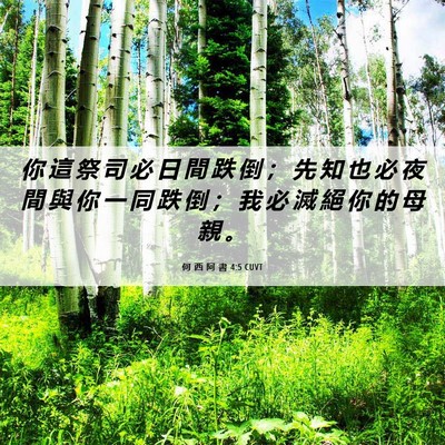 Picture 06 - 何 西 阿 書 4:5 CUVT - 你 這 祭 司 必 日 間 跌 倒 ； 先 知 - Bible Verse Picture