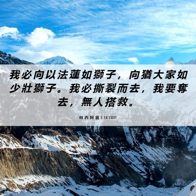 Picture 06 - 何 西 阿 書 5:14 CUVT - 我 必 向 以 法 蓮 如 獅 子 ， 向 猶 - Bible Verse Picture