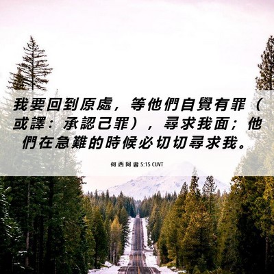 Picture 06 - 何 西 阿 書 5:15 CUVT - 我 要 回 到 原 處 ， 等 他 們 自 覺 - Bible Verse Picture