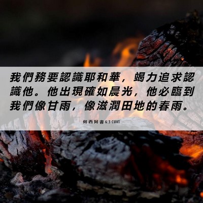 Picture 06 - 何 西 阿 書 6:3 CUVT - 我 們 務 要 認 識 耶 和 華 ， 竭 力 - Bible Verse Picture