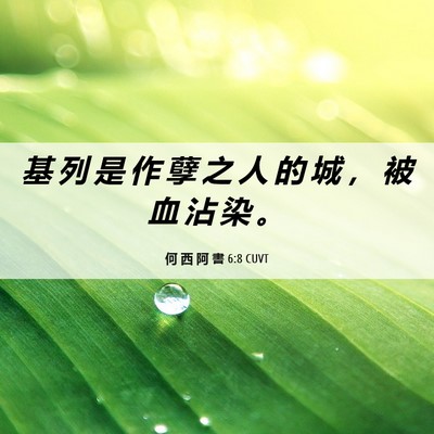 Picture 06 - 何 西 阿 書 6:8 CUVT - 基 列 是 作 孽 之 人 的 城 ， 被 血 - Bible Verse Picture