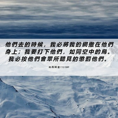 Picture 06 - 何 西 阿 書 7:12 CUVT - 他 們 去 的 時 候 ， 我 必 將 我 的 - Bible Verse Picture