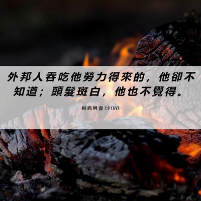 Picture 06 - 何 西 阿 書 7:9 CUVT - 外 邦 人 吞 吃 他 勞 力 得 來 的 ， - Bible Verse Picture