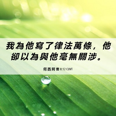 Picture 06 - 何 西 阿 書 8:12 CUVT - 我 為 他 寫 了 律 法 萬 條 ， 他 卻 - Bible Verse Picture