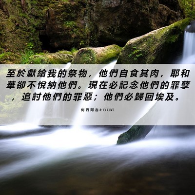 Picture 06 - 何 西 阿 書 8:13 CUVT - 至 於 獻 給 我 的 祭 物 ， 他 們 自 - Bible Verse Picture