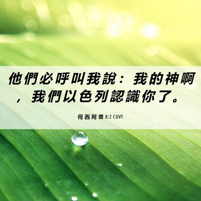Picture 06 - 何 西 阿 書 8:2 CUVT - 他 們 必 呼 叫 我 說 ： 我 的 神 啊 - Bible Verse Picture