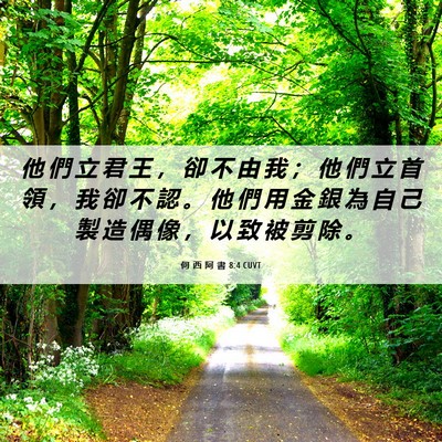 Picture 06 - 何 西 阿 書 8:4 CUVT - 他 們 立 君 王 ， 卻 不 由 我 ； 他 - Bible Verse Picture