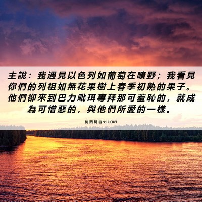 Picture 06 - 何 西 阿 書 9:10 CUVT - 主 說 ： 我 遇 見 以 色 列 如 葡 萄 - Bible Verse Picture