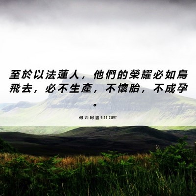 Picture 06 - 何 西 阿 書 9:11 CUVT - 至 於 以 法 蓮 人 ， 他 們 的 榮 耀 - Bible Verse Picture