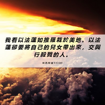 Picture 06 - 何 西 阿 書 9:13 CUVT - 我 看 以 法 蓮 如 推 羅 栽 於 美 地 - Bible Verse Picture