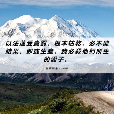 Picture 06 - 何 西 阿 書 9:16 CUVT - 以 法 蓮 受 責 罰 ， 根 本 枯 乾 ， - Bible Verse Picture