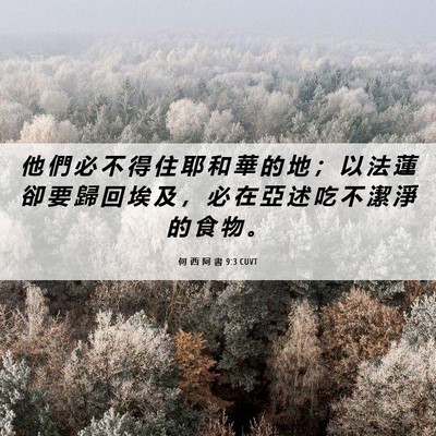 Picture 06 - 何 西 阿 書 9:3 CUVT - 他 們 必 不 得 住 耶 和 華 的 地 ； - Bible Verse Picture
