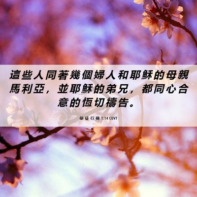 Picture 06 - 使 徒 行 傳 1:14 CUVT - 這 些 人 同 著 幾 個 婦 人 和 耶 穌 - Bible Verse Picture