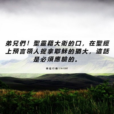 Picture 06 - 使 徒 行 傳 1:16 CUVT - 弟 兄 們 ！ 聖 靈 藉 大 衛 的 口 ， - Bible Verse Picture