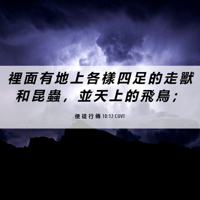 Picture 06 - 使 徒 行 傳 10:12 CUVT - 裡 面 有 地 上 各 樣 四 足 的 走 獸 - Bible Verse Picture