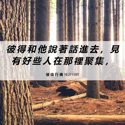 Picture 06 - 使 徒 行 傳 10:27 CUVT - 彼 得 和 他 說 著 話 進 去 ， 見 有 - Bible Verse Picture