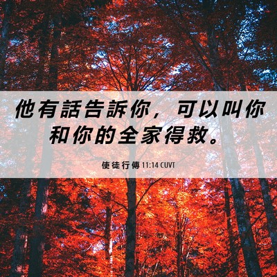 Picture 06 - 使 徒 行 傳 11:14 CUVT - 他 有 話 告 訴 你 ， 可 以 叫 你 和 - Bible Verse Picture