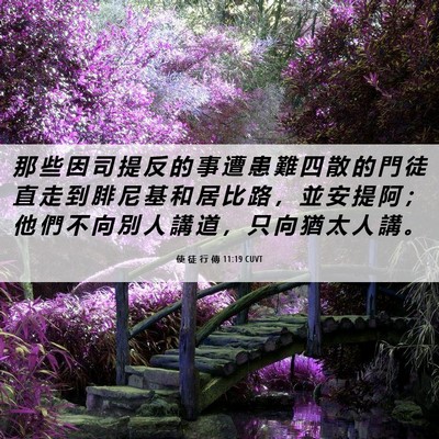 Picture 06 - 使 徒 行 傳 11:19 CUVT - 那 些 因 司 提 反 的 事 遭 患 難 四 - Bible Verse Picture