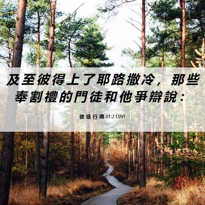 Picture 06 - 使 徒 行 傳 11:2 CUVT - 及 至 彼 得 上 了 耶 路 撒 冷 ， 那 - Bible Verse Picture