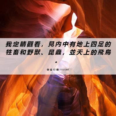 Picture 06 - 使 徒 行 傳 11:6 CUVT - 我 定 睛 觀 看 ， 見 內 中 有 地 上 - Bible Verse Picture