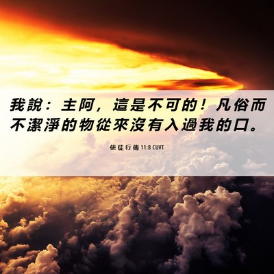 Picture 06 - 使 徒 行 傳 11:8 CUVT - 我 說 ： 主 阿 ， 這 是 不 可 的 ！ - Bible Verse Picture