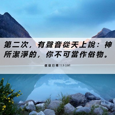 Picture 06 - 使 徒 行 傳 11:9 CUVT - 第 二 次 ， 有 聲 音 從 天 上 說 ： - Bible Verse Picture