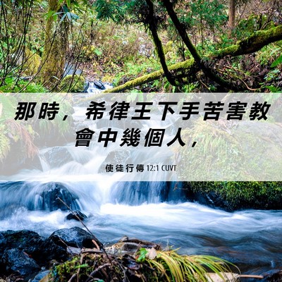 Picture 06 - 使 徒 行 傳 12:1 CUVT - 那 時 ， 希 律 王 下 手 苦 害 教 會 - Bible Verse Picture