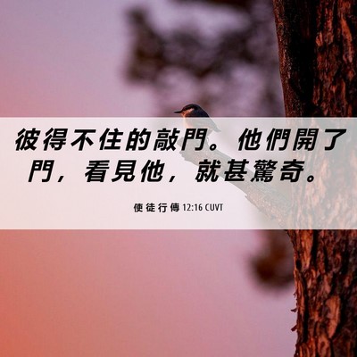 Picture 06 - 使 徒 行 傳 12:16 CUVT - 彼 得 不 住 的 敲 門 。 他 們 開 了 - Bible Verse Picture