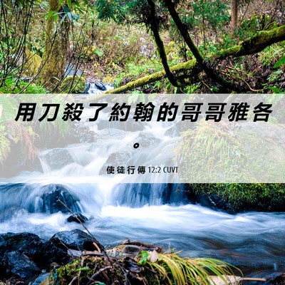 Picture 06 - 使 徒 行 傳 12:2 CUVT - 用 刀 殺 了 約 翰 的 哥 哥 雅 各 - Bible Verse Picture