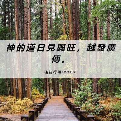 Picture 06 - 使 徒 行 傳 12:24 CUVT - 神 的 道 日 見 興 旺 ， 越 發 廣 傳 - Bible Verse Picture