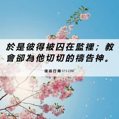 Picture 06 - 使 徒 行 傳 12:5 CUVT - 於 是 彼 得 被 囚 在 監 裡 ； 教 會 - Bible Verse Picture