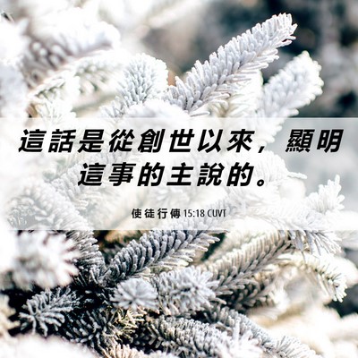 Picture 06 - 使 徒 行 傳 15:18 CUVT - 這 話 是 從 創 世 以 來 ， 顯 明 這 - Bible Verse Picture