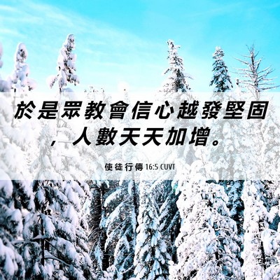Picture 06 - 使 徒 行 傳 16:5 CUVT - 於 是 眾 教 會 信 心 越 發 堅 固 ， - Bible Verse Picture