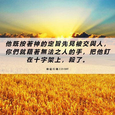 Picture 06 - 使 徒 行 傳 2:23 CUVT - 他 既 按 著 神 的 定 旨 先 見 被 交 - Bible Verse Picture