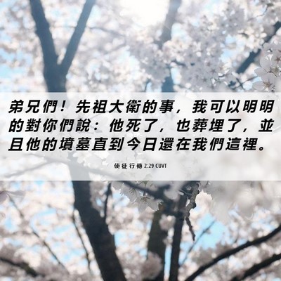 Picture 06 - 使 徒 行 傳 2:29 CUVT - 弟 兄 們 ！ 先 祖 大 衛 的 事 ， 我 - Bible Verse Picture