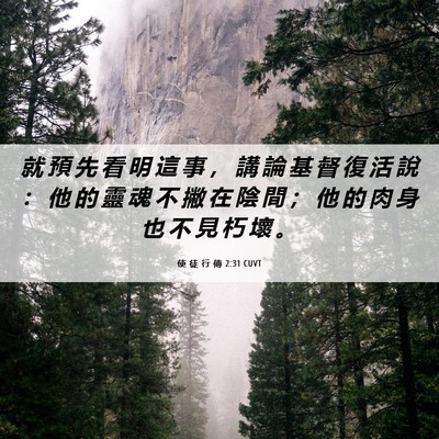 Picture 06 - 使 徒 行 傳 2:31 CUVT - 就 預 先 看 明 這 事 ， 講 論 基 督 - Bible Verse Picture