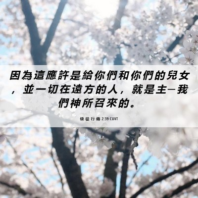 Picture 06 - 使 徒 行 傳 2:39 CUVT - 因 為 這 應 許 是 給 你 們 和 你 們 - Bible Verse Picture