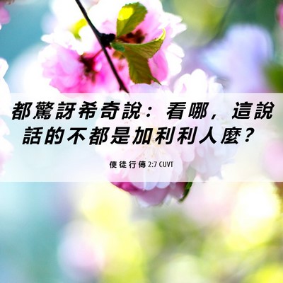 Picture 06 - 使 徒 行 傳 2:7 CUVT - 都 驚 訝 希 奇 說 ： 看 哪 ， 這 說 - Bible Verse Picture