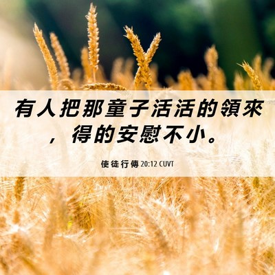 Picture 06 - 使 徒 行 傳 20:12 CUVT - 有 人 把 那 童 子 活 活 的 領 來 ， - Bible Verse Picture