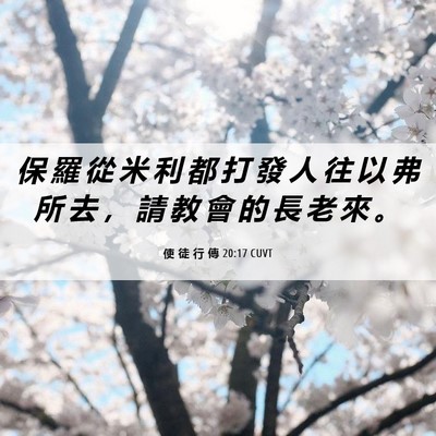 Picture 06 - 使 徒 行 傳 20:17 CUVT - 保 羅 從 米 利 都 打 發 人 往 以 弗 - Bible Verse Picture