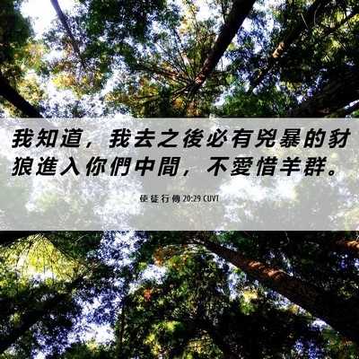 Picture 06 - 使 徒 行 傳 20:29 CUVT - 我 知 道 ， 我 去 之 後 必 有 兇 暴 - Bible Verse Picture