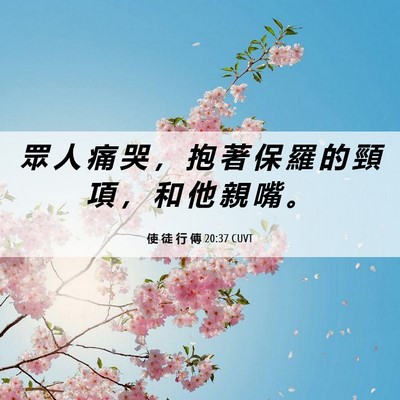 Picture 06 - 使 徒 行 傳 20:37 CUVT - 眾 人 痛 哭 ， 抱 著 保 羅 的 頸 項 - Bible Verse Picture