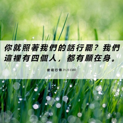Picture 06 - 使 徒 行 傳 21:23 CUVT - 你 就 照 著 我 們 的 話 行 罷 ？ 我 - Bible Verse Picture