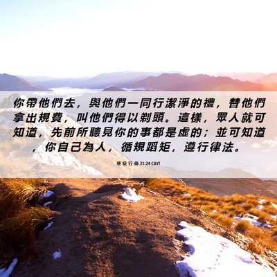 Picture 06 - 使 徒 行 傳 21:24 CUVT - 你 帶 他 們 去 ， 與 他 們 一 同 行 - Bible Verse Picture