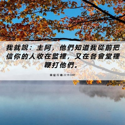 Picture 06 - 使 徒 行 傳 22:19 CUVT - 我 就 說 ： 主 阿 ， 他 們 知 道 我 - Bible Verse Picture