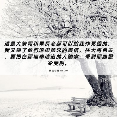 Picture 06 - 使 徒 行 傳 22:5 CUVT - 這 是 大 祭 司 和 眾 長 老 都 可 以 - Bible Verse Picture
